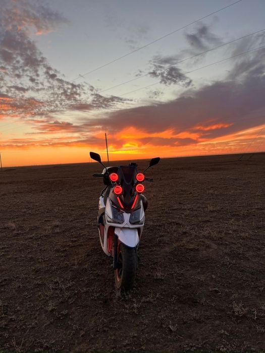 Прооодамм самурай