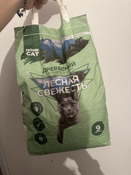 Все для вашего котенка