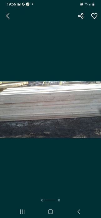 VÂND CHERESTEA Răsinoase. Preț de producător.