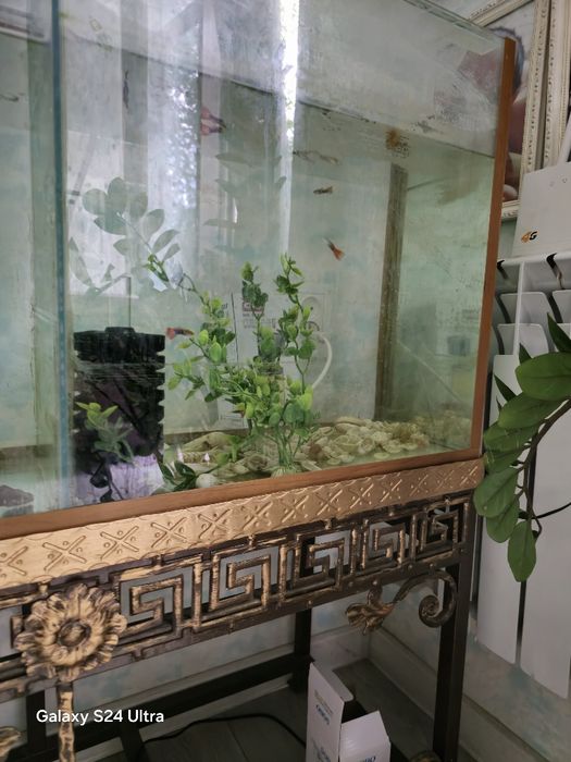 Аквариум с рыбками