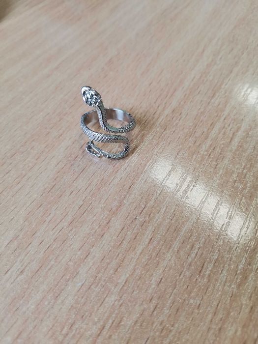 2025 година на змията