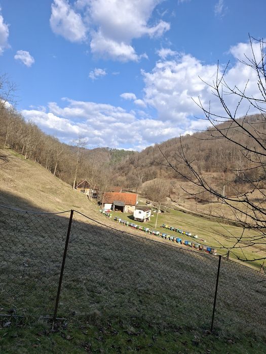 Cabana Daria -natură și relaxare