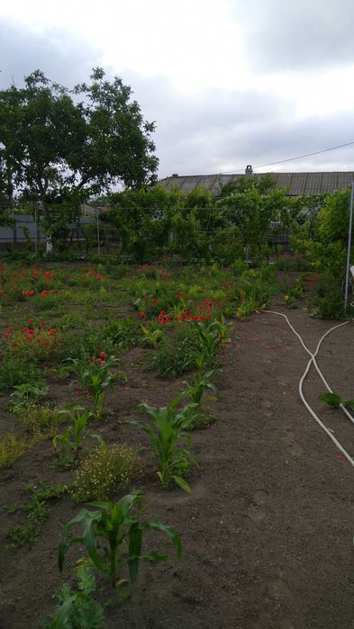 Casa în zona centrala a orașului Sulina la pret de apartament !