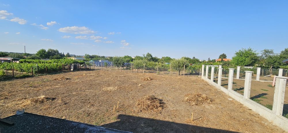 Имот със сменен статут