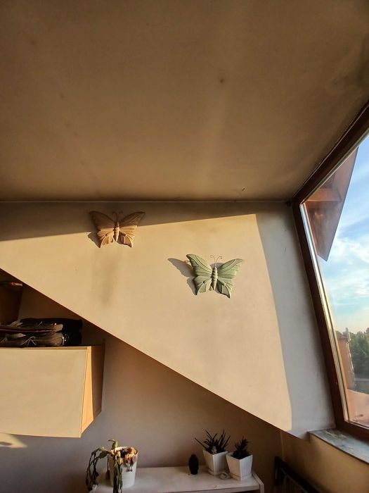 Apartament 2 camere Snagov
