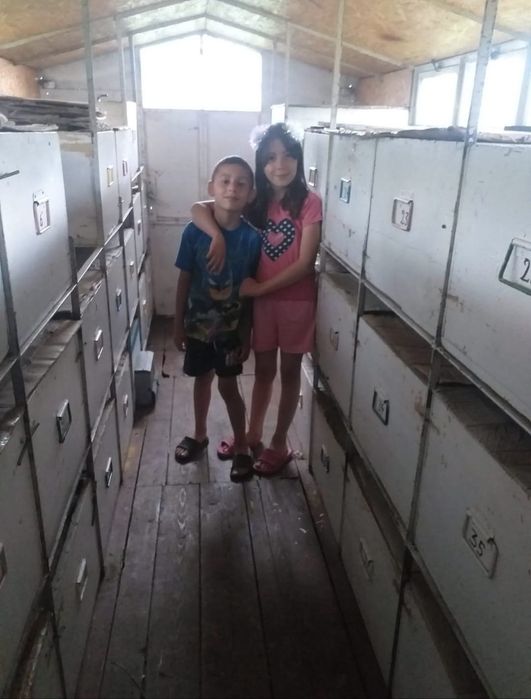 Pavilion vagon apicol 1000€