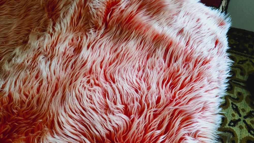 Болна дългокосместа в два цвята - розова, зелена, оранжева.