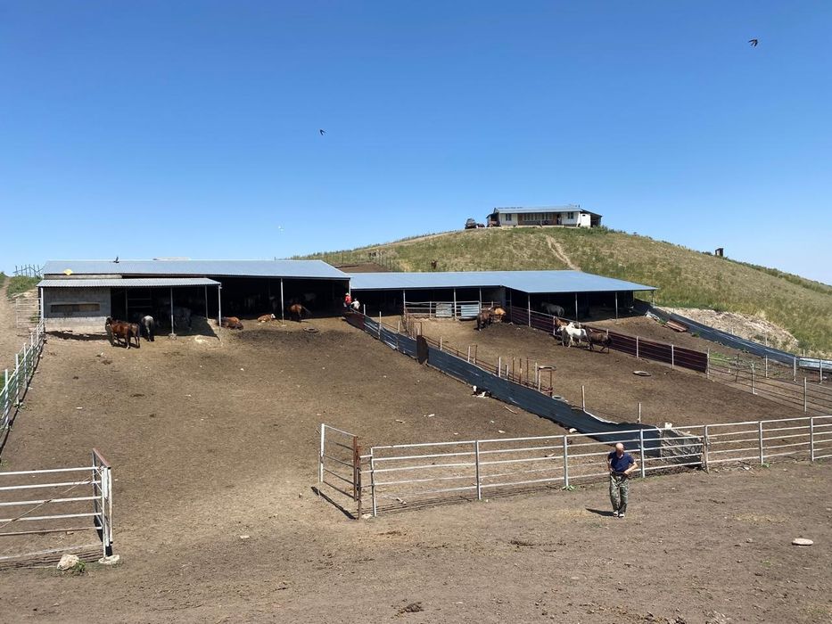 Продаёться фазенда