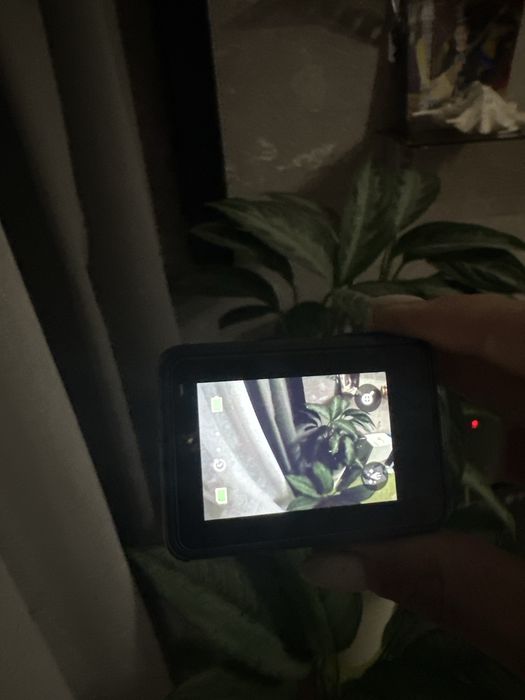 Продам GoPro Hero 7 Black