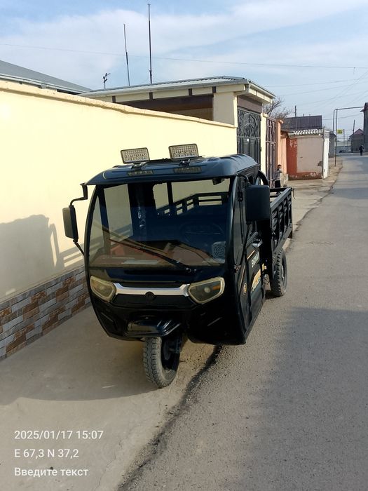 Муравей электричиский