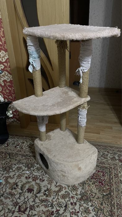 Лоток, переноска для кошек, товары для кошек. Астана
