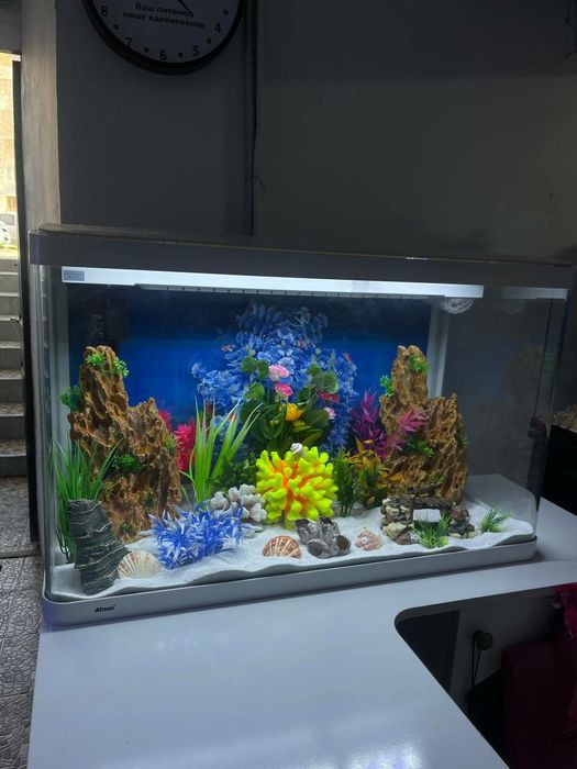 Аквариум Магазин