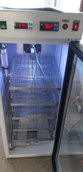 Инкубатор 240яиц