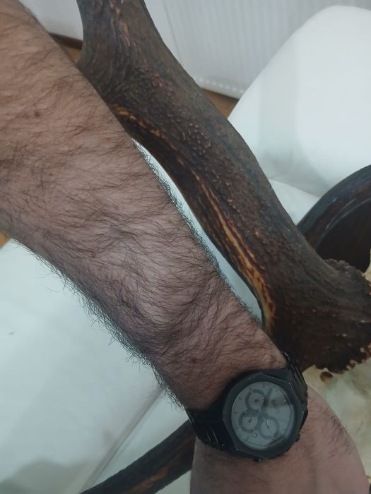 Trofeu  cerb carpatin