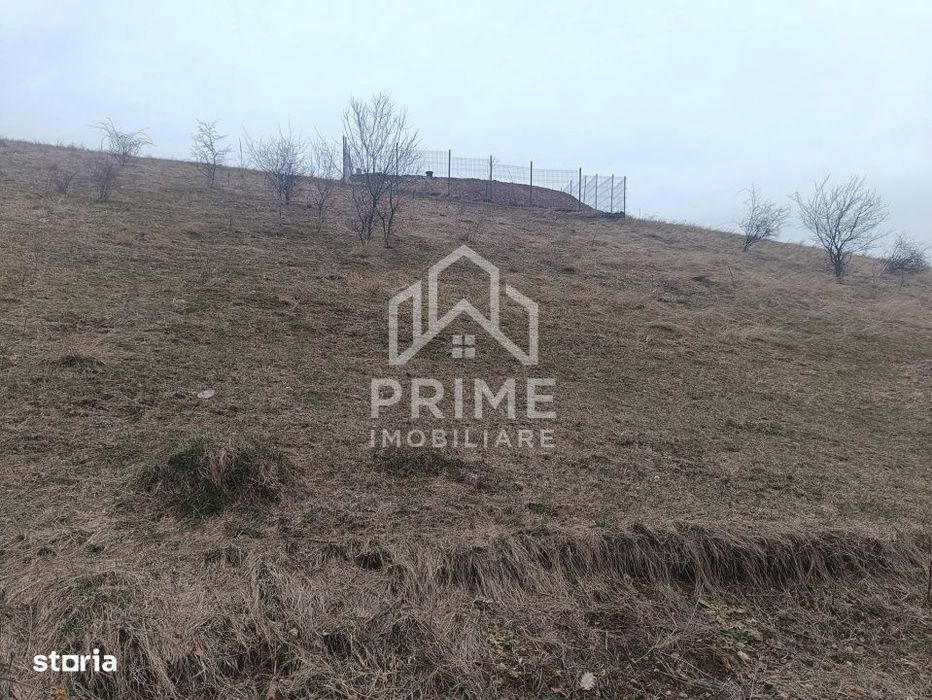 Teren intravilan 310 mp | Vedere panoramica | Cartier Micesti |