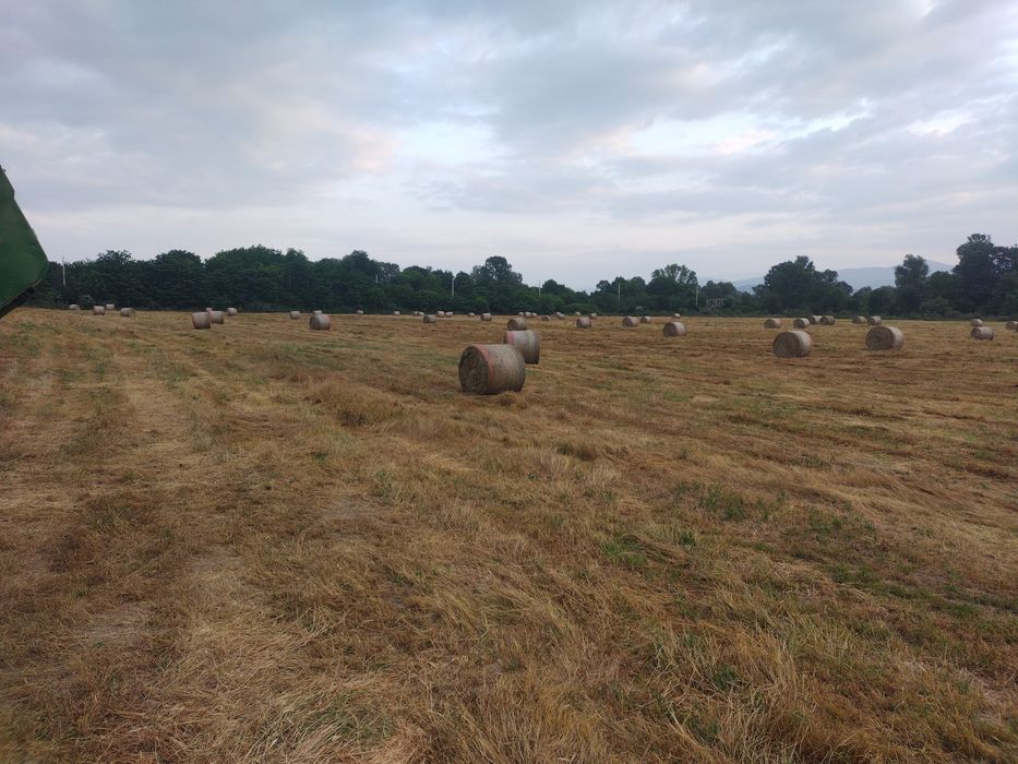 Бали слама малки и ролонни