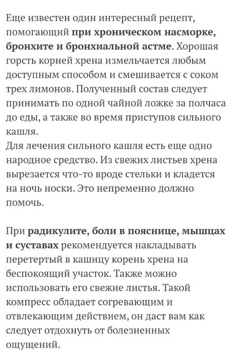 листья  хрена свежие  домашние