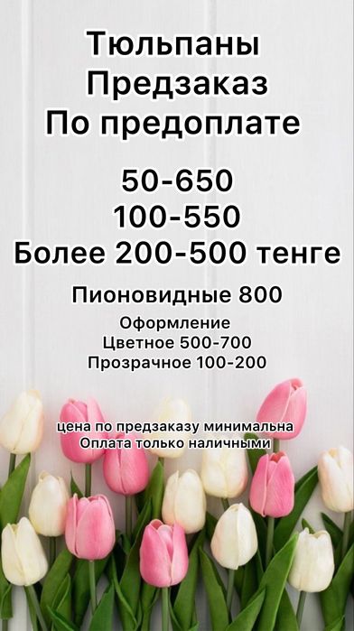 Тюльпаны тюльпан цветы розы