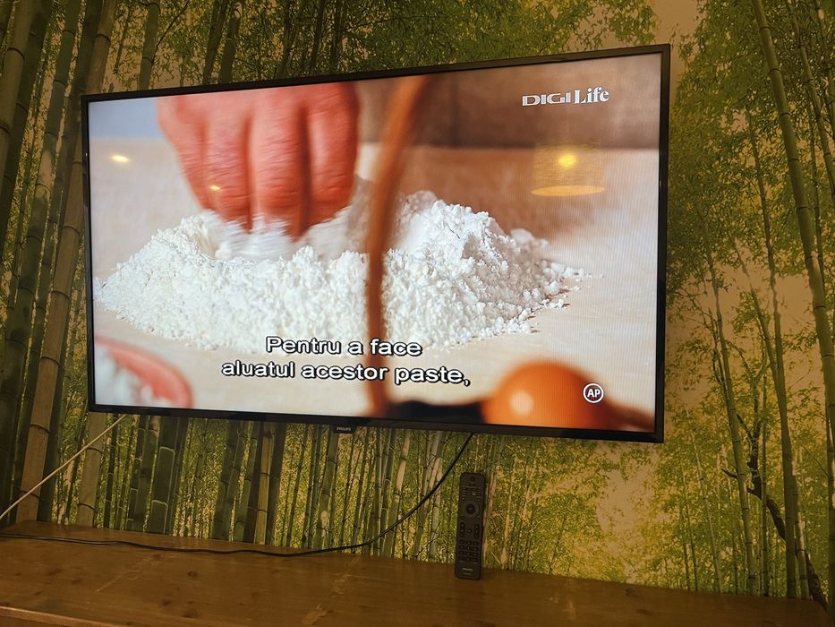 TV LED FHD 48 Inch 120 CM Philips TV LED