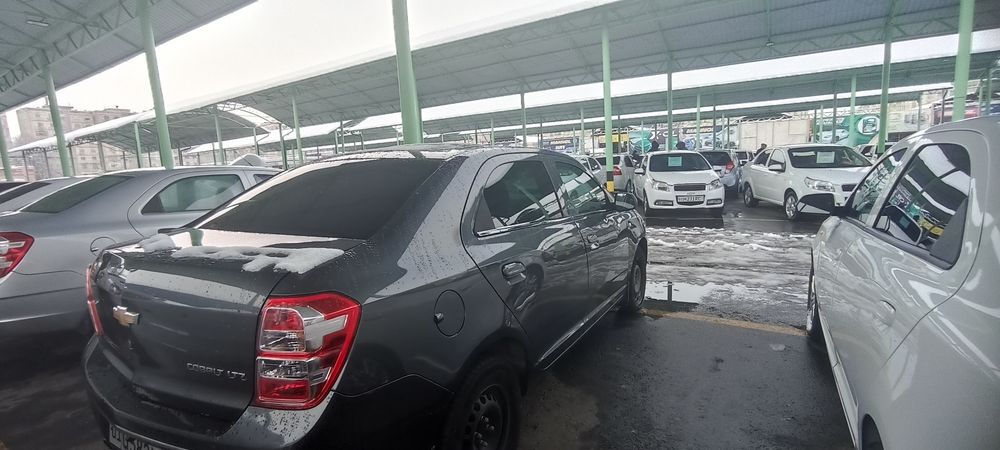 Cobolt 2022 4-pozitsiya STAYl