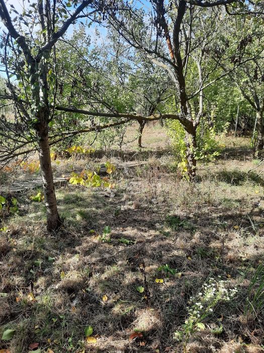 Teren de casa 610 MP