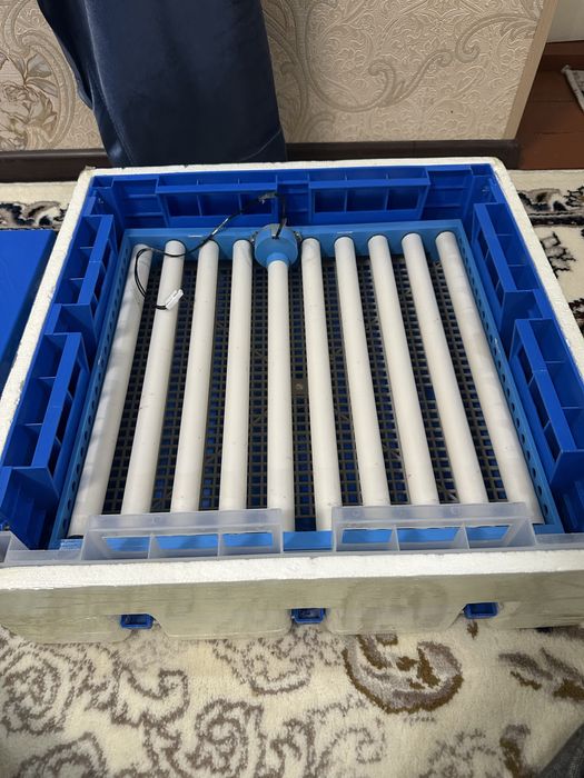 инкубатор на 64 яиц