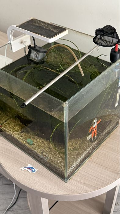 Аквариум для мелких рыб