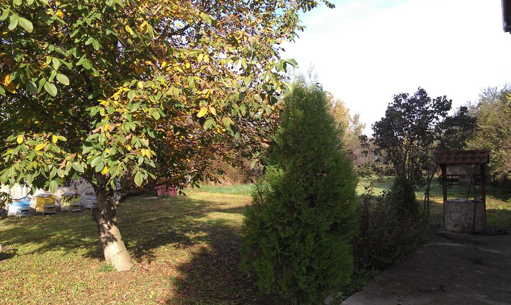 Продава се Къща в с. Горна Росица, Област Габрово - 340 кв.м за 780 €/кв.м - Снимка #15