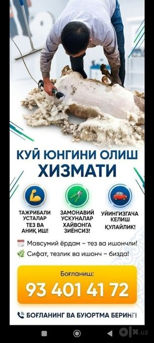 Куй юнгини олиш хизмати