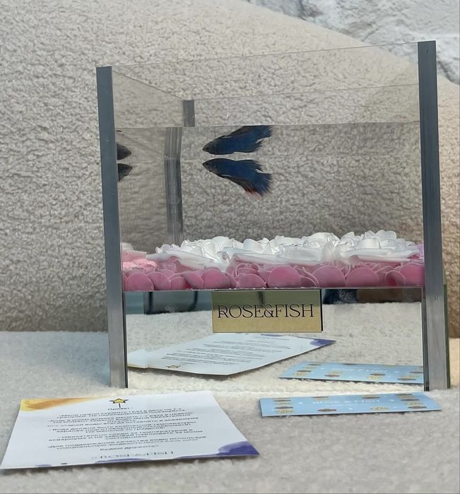 Аквариум с рыбкой