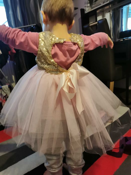 Rochita aparatura muzicala