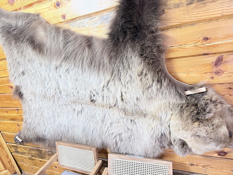 Натуралный медведь