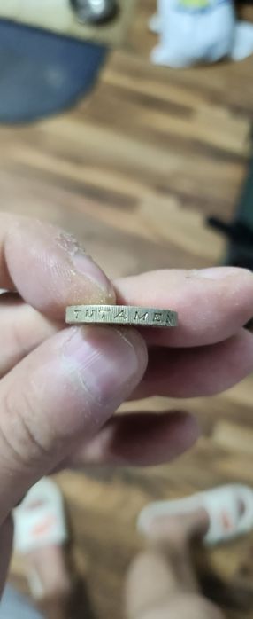 Moneda 1 Lira Elizabeth a,2a anu 1993