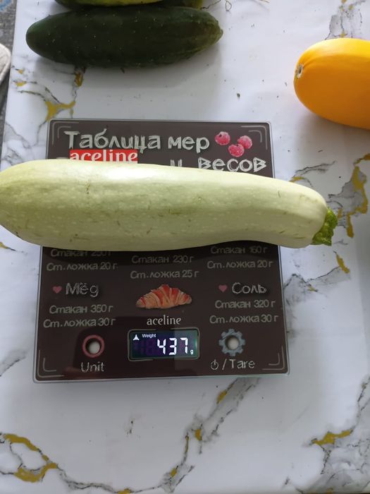 Тыква по 300тг за кг