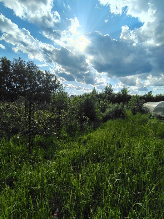 Продам участок 10 соток, пос. Солнечный.