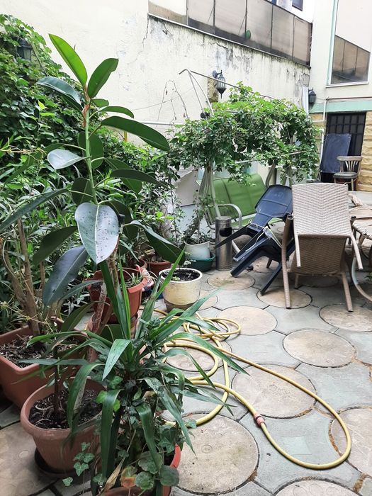 Garsoniera Vasile Lascăr  colt str. Icoanei