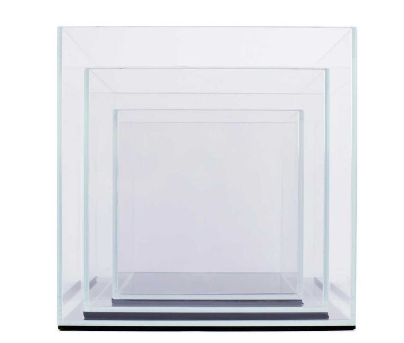 ACVARII  la comandă la cele mai  bune prețuri ! Comanda acum !