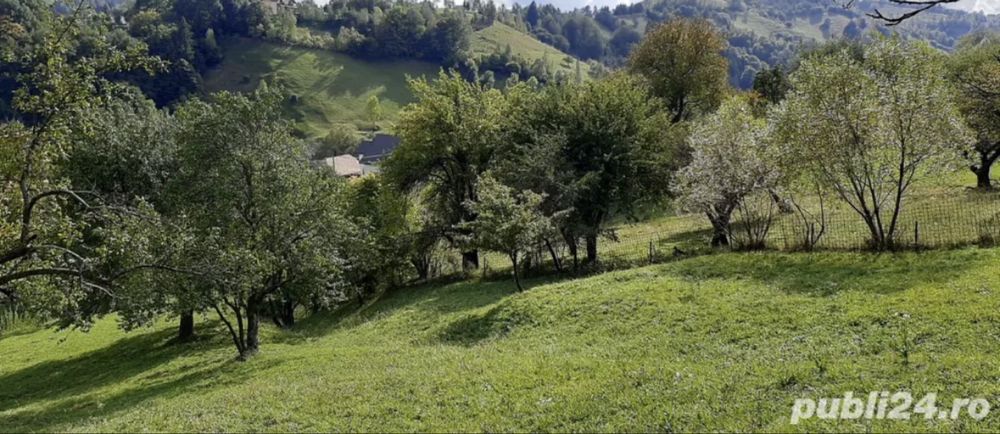 Teren Moieciu de Jos