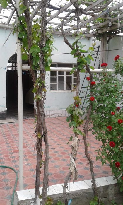 Продам дачу в городе Навои