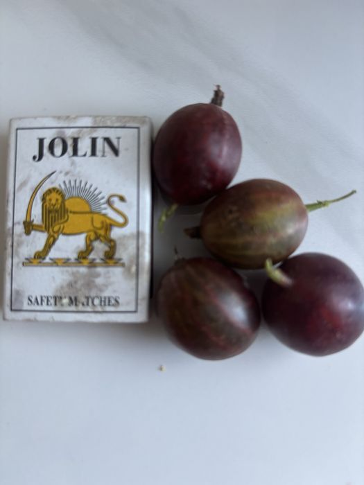 Дача Дачный участок Гудок