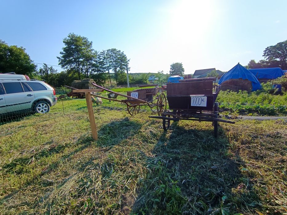 Tractorașe, trăsură , șareta ,sanie