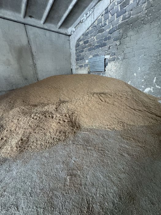 Зерноотходы, Пшеница, Семечки