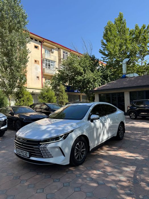 BYD Chazor 55 km