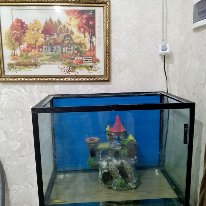 Катта аквариум сотилади срочно.