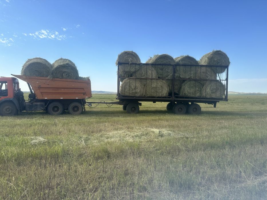 Продам прицеп сеновозка птс -13