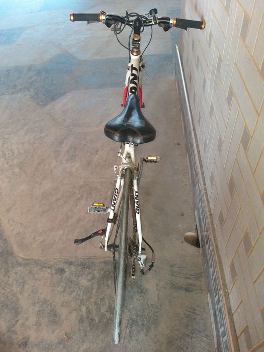 Velosiped GIANT (sporting. professional)