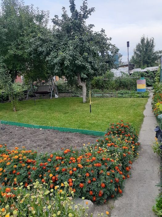 Продается дача- дом