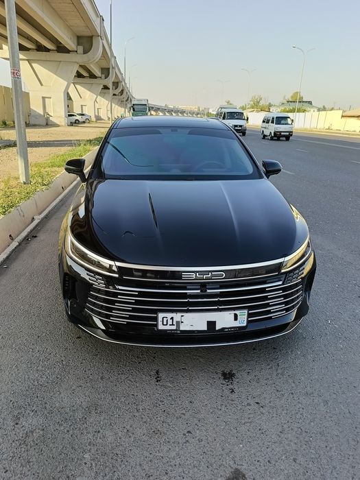 BYD Chazor 2024 люкли