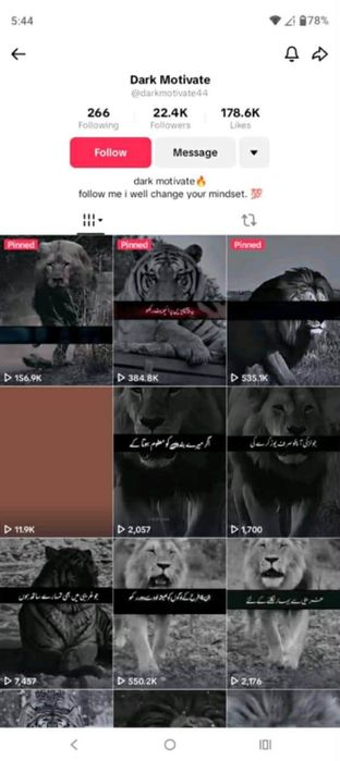 Servicii TikTok – Creștere cont, monetizare și promovare internațional