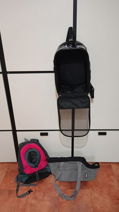 Animale de companie  transport